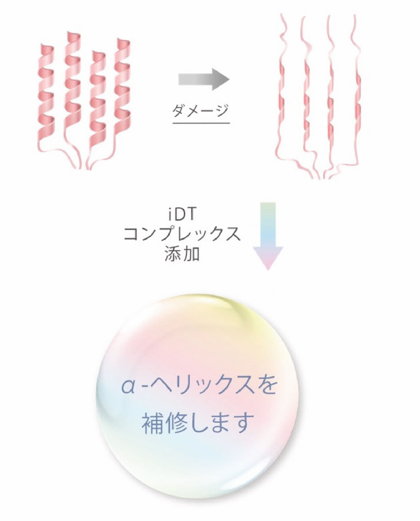 ダメージを受けた髪にしなやかな弾力を取り戻します。