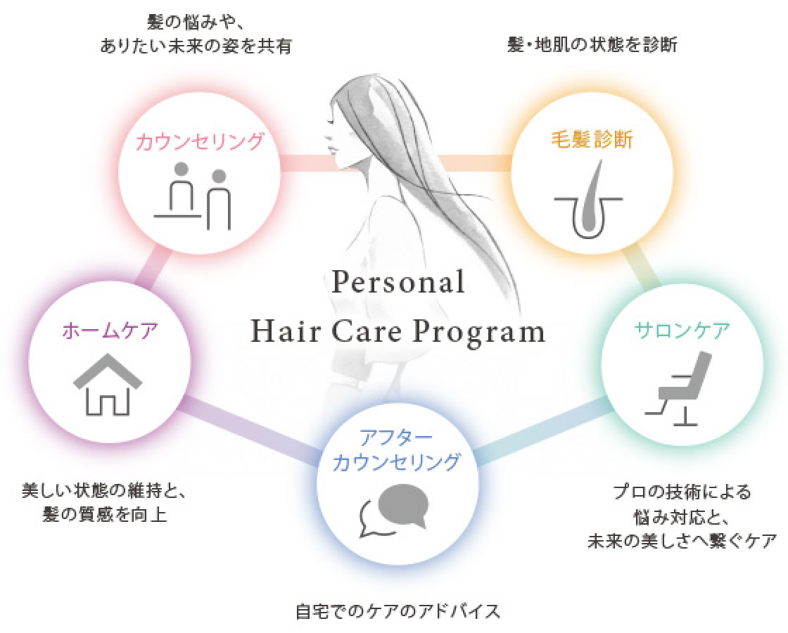 Personal Hair Care Program