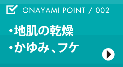 ・地肌の乾燥・かゆみ、フケ