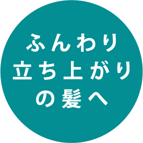 ふんわり立ち上がりの髪へ