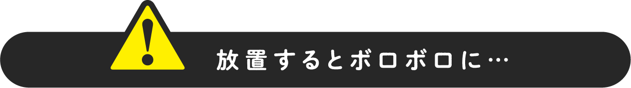 放置するとボロボロに…