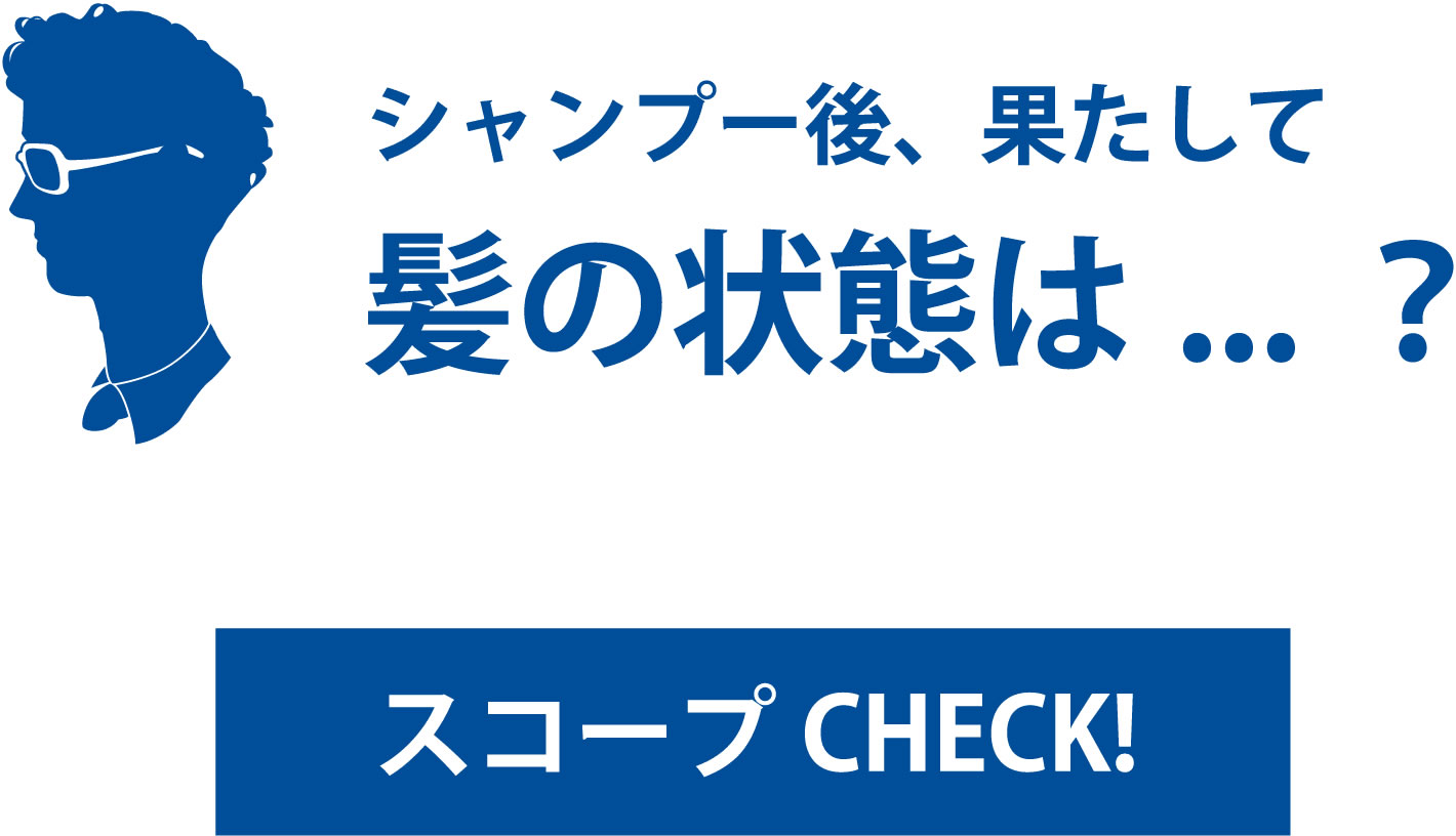 シャンプー後、果たして髪の状態は