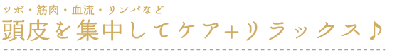 頭皮を集中してケア+リラックス♪