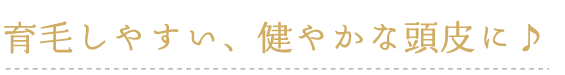 育毛しやすい、健やかな頭皮に♪